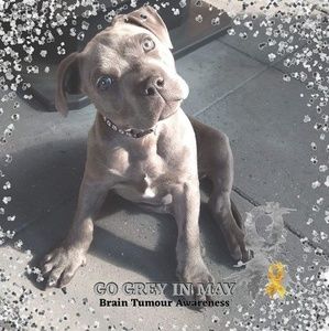 Meet your Posher, Kellie